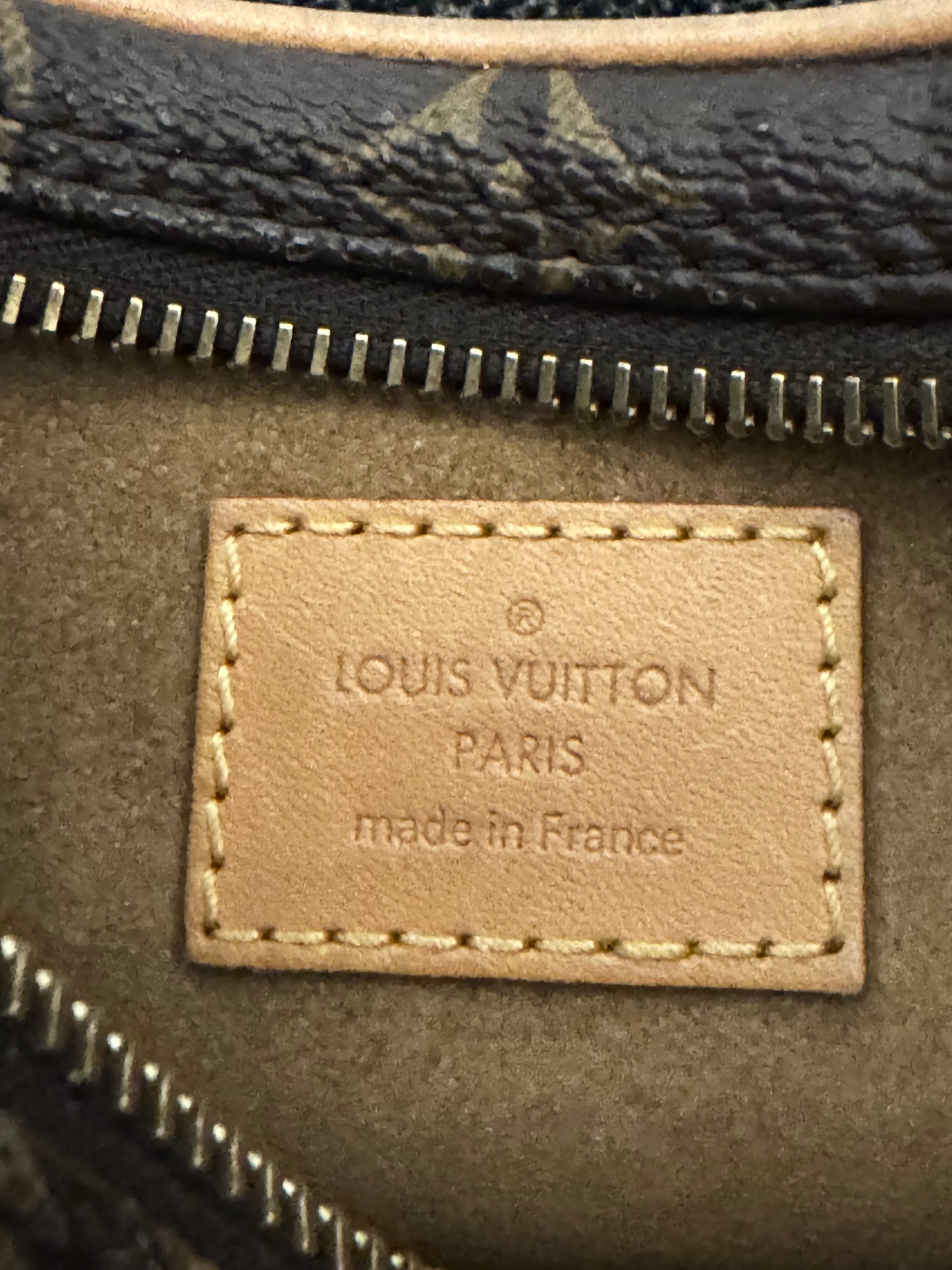 Louis Vuitton Loop PM Monogram Bag