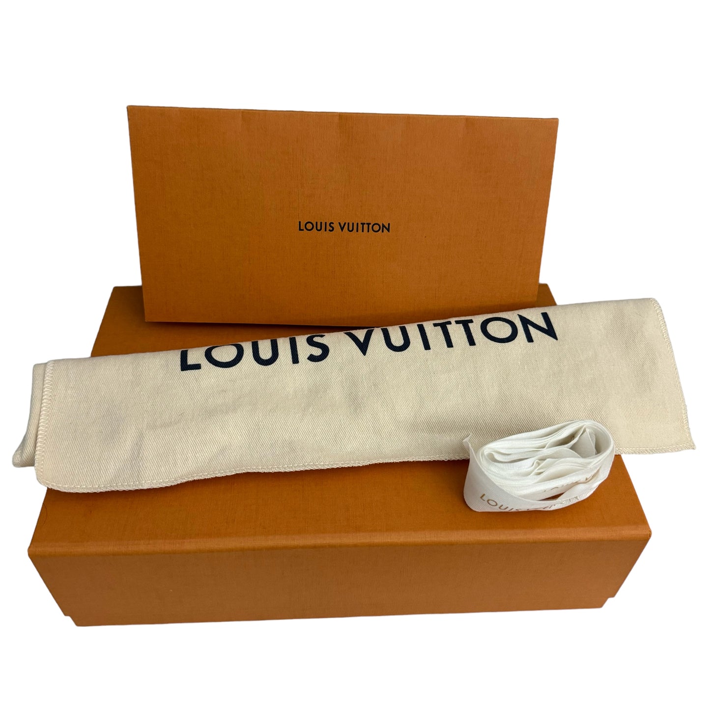 Louis Vuitton Favorite MM Monogram Bag