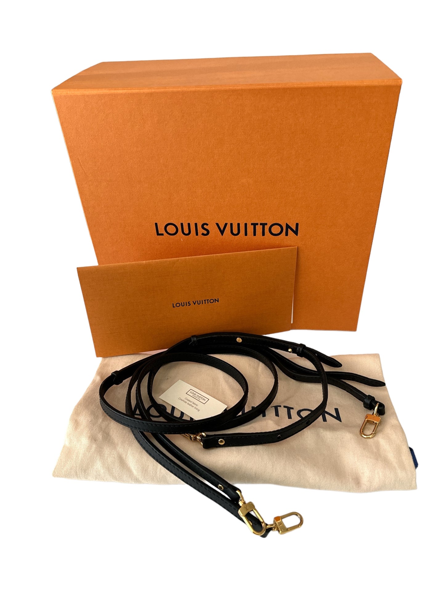 Louis Vuitton Palm Springs Mini Backpack