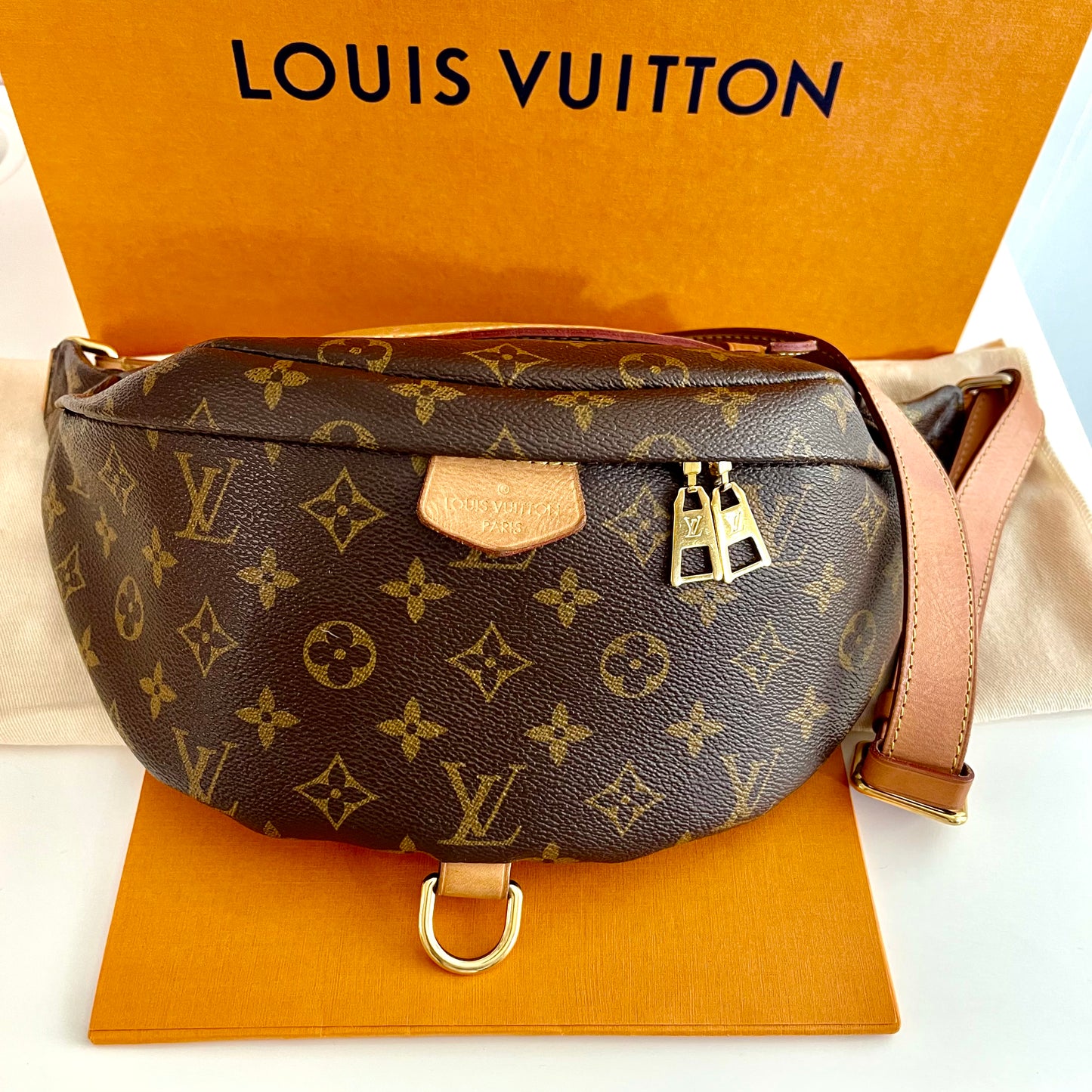 Louis Vuitton Bumbag Monogram