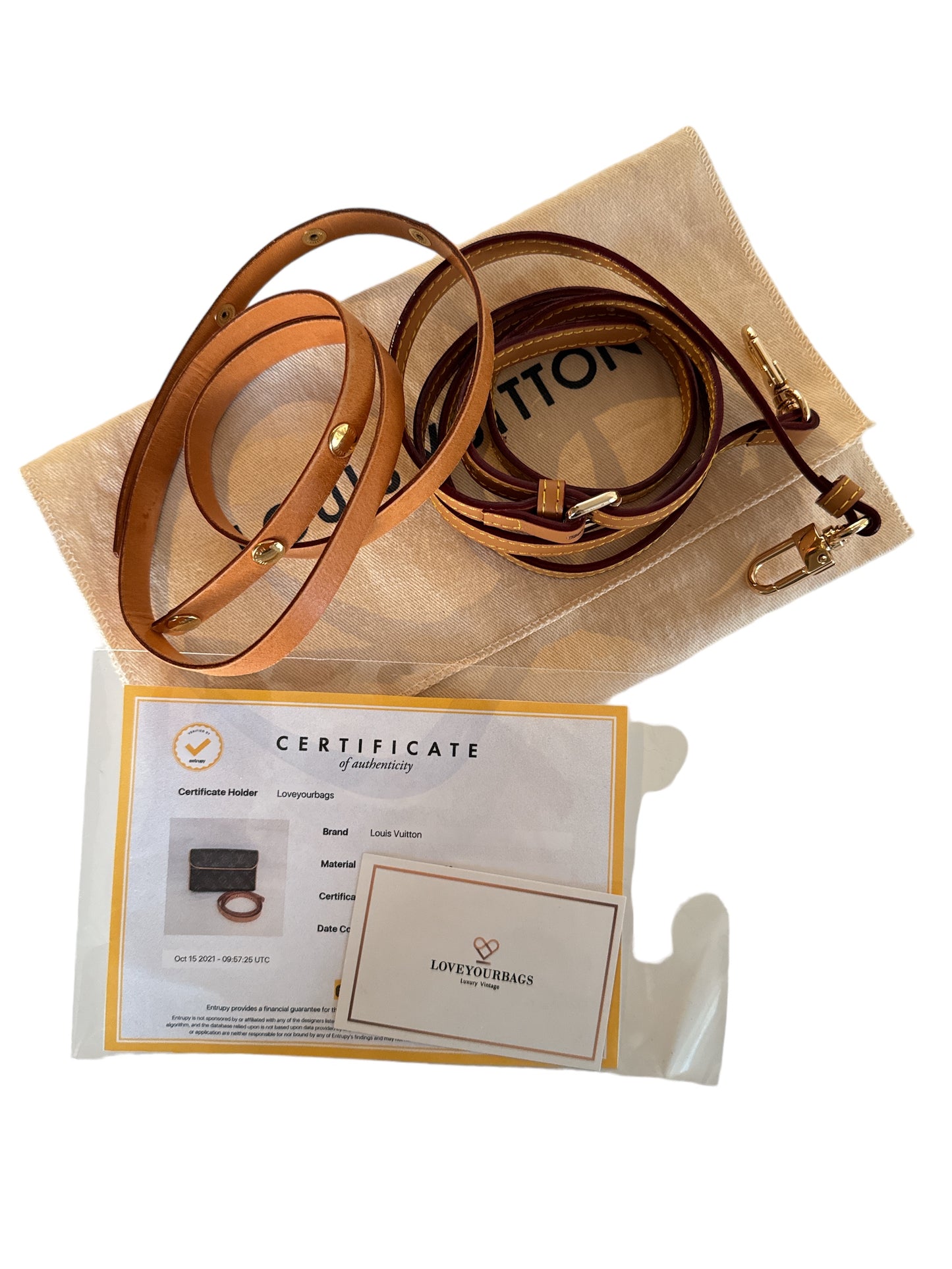 Louis Vuitton Monogram Canvas Pochette Florentine Belt Bag