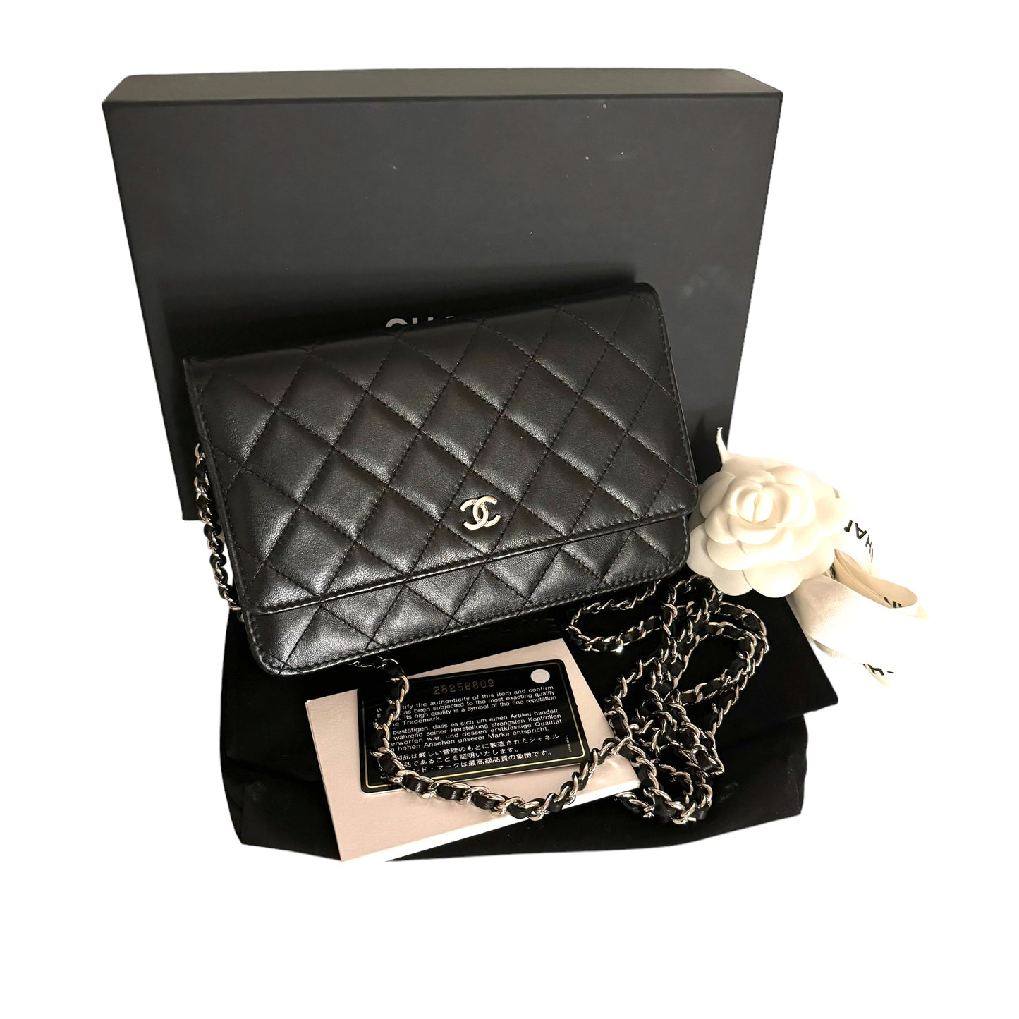 Chanel Classic Wallet On Chain Black Silver Metal Lambskin Bag