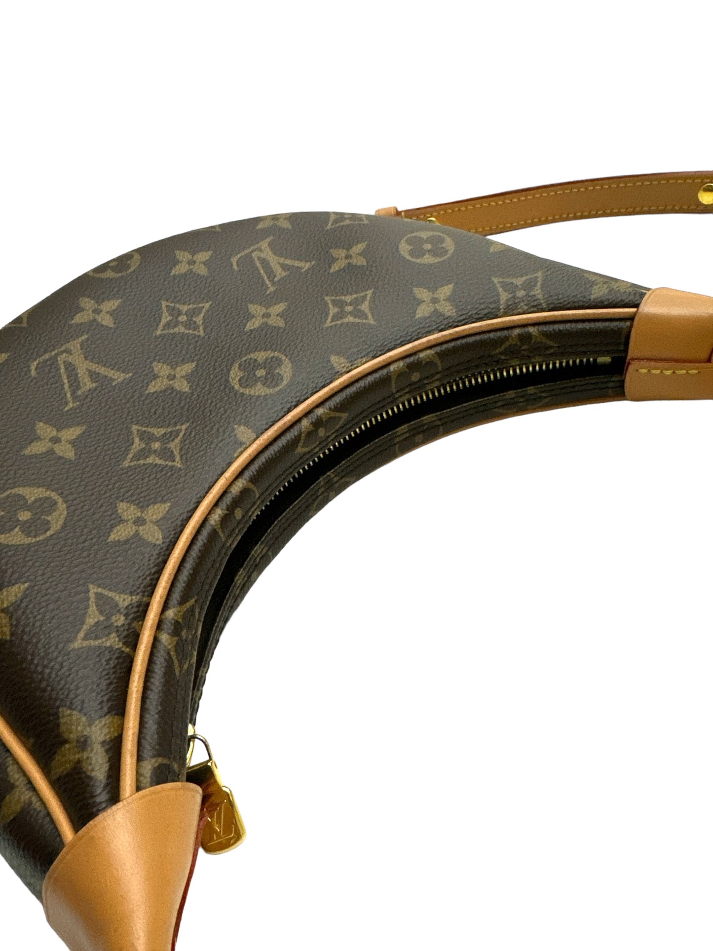 Louis Vuitton Loop bag