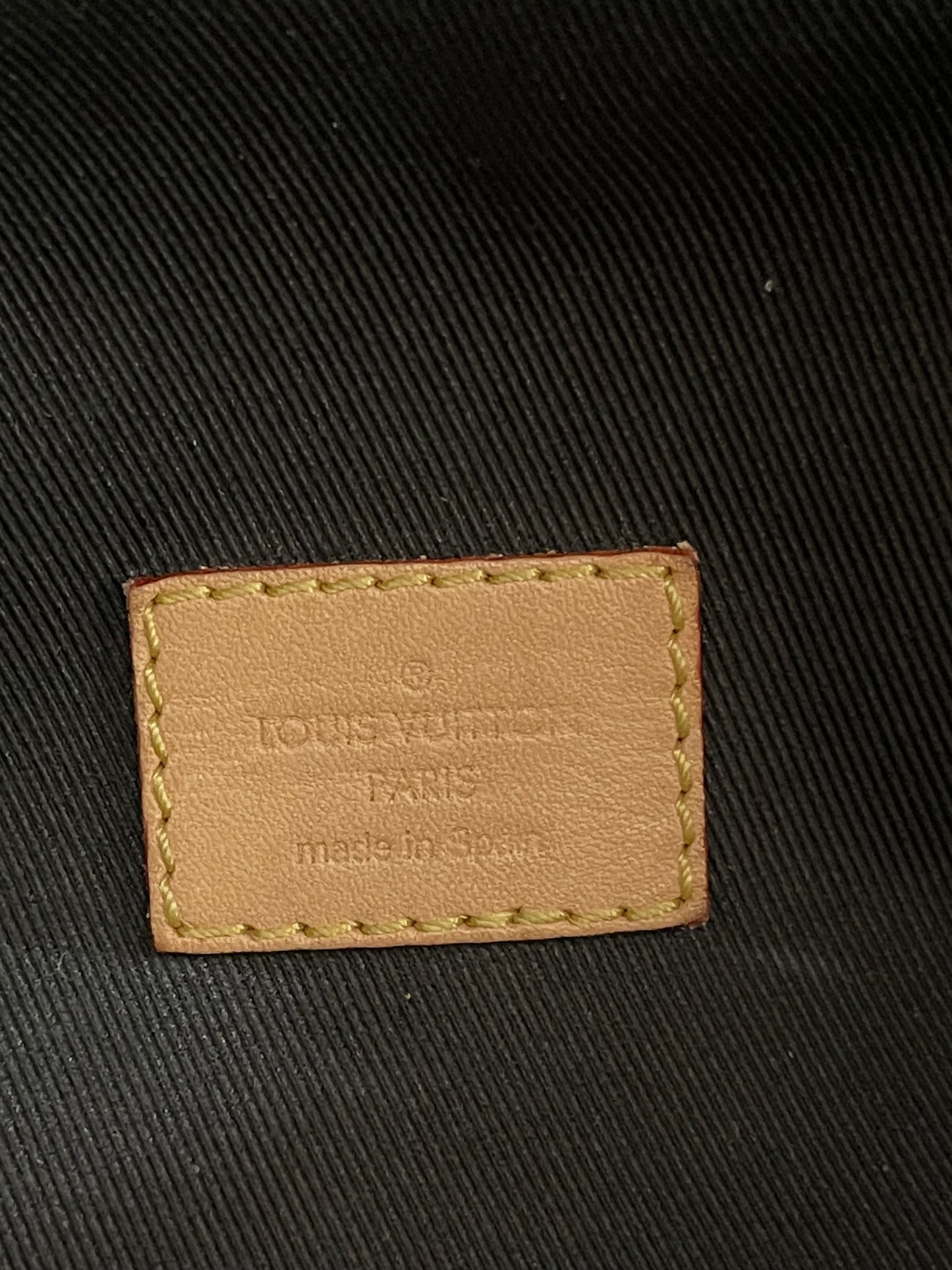 Louis Vuitton Bumbag Monogram