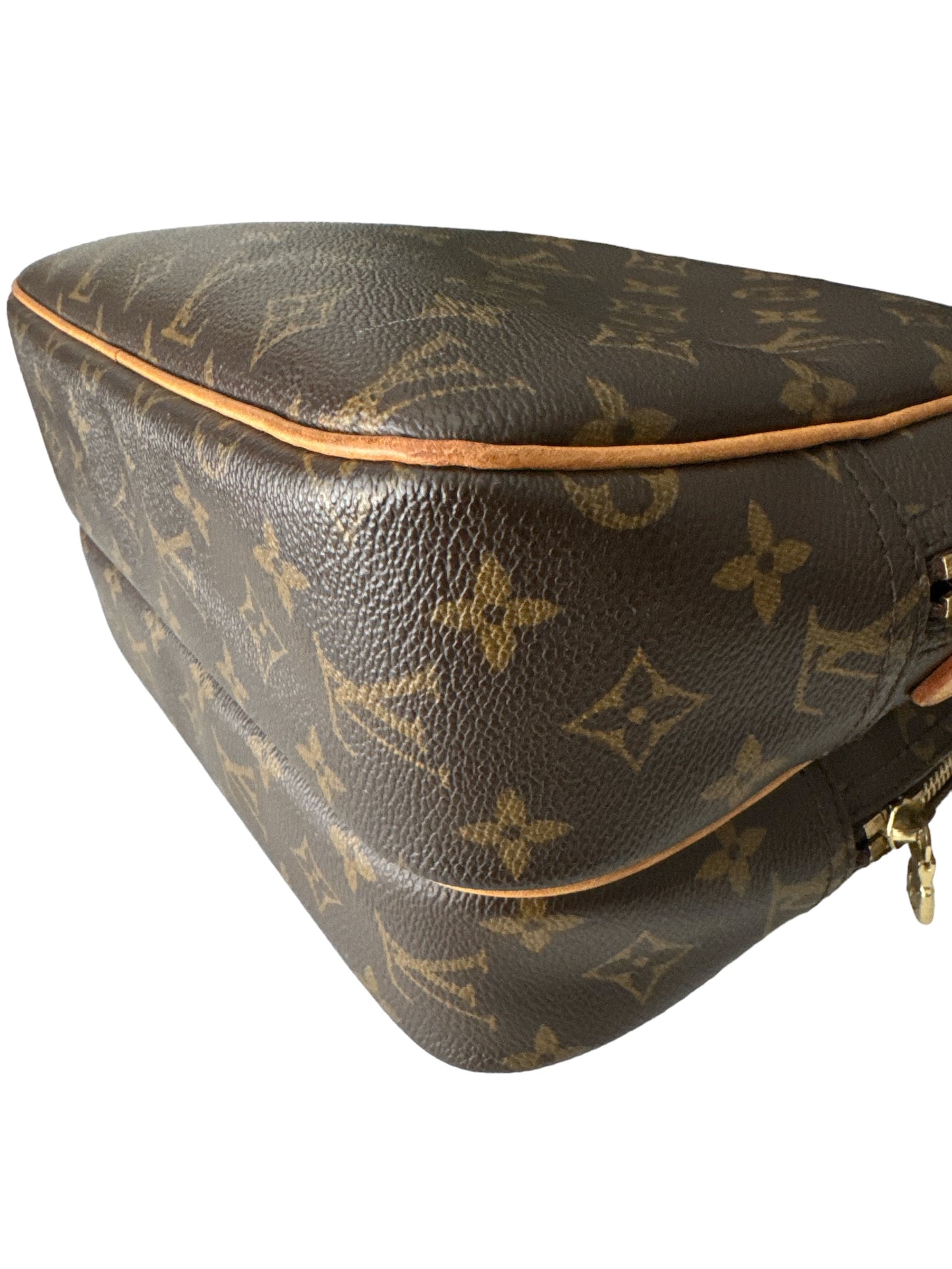 Louise Vuitton Reporter PM monogram bag