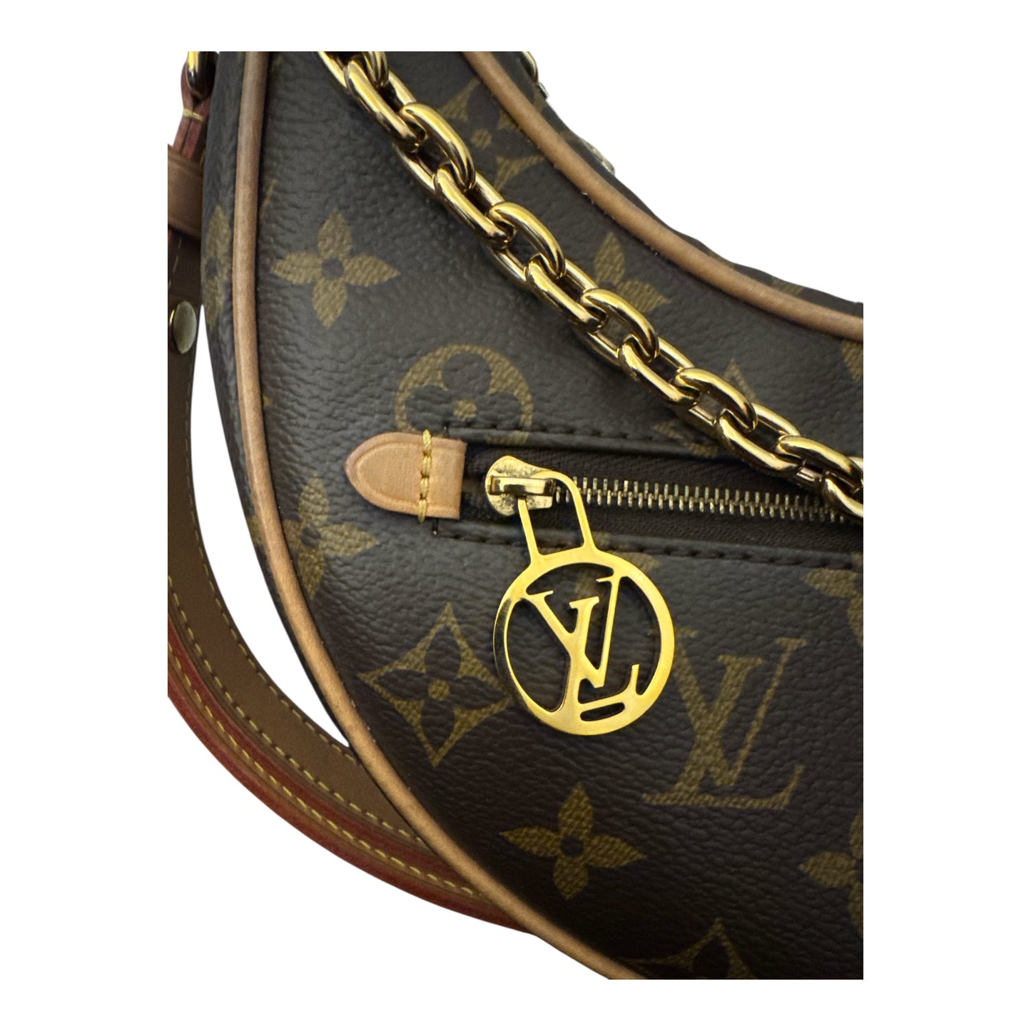 Louis Vuitton Loop PM Monogram Bag