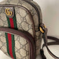 110580672 Gucci Ophidia GG Mini Bag