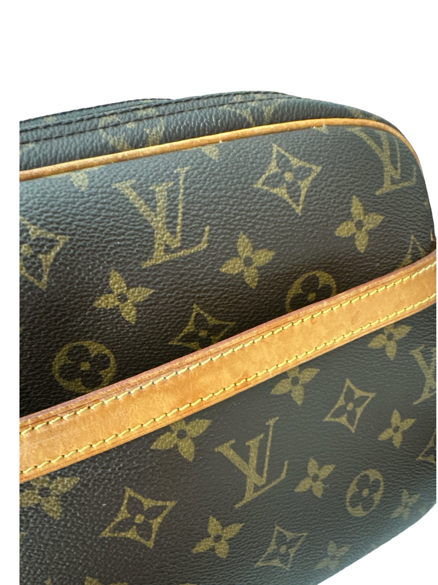 Louise Vuitton Reporter PM monogram bag