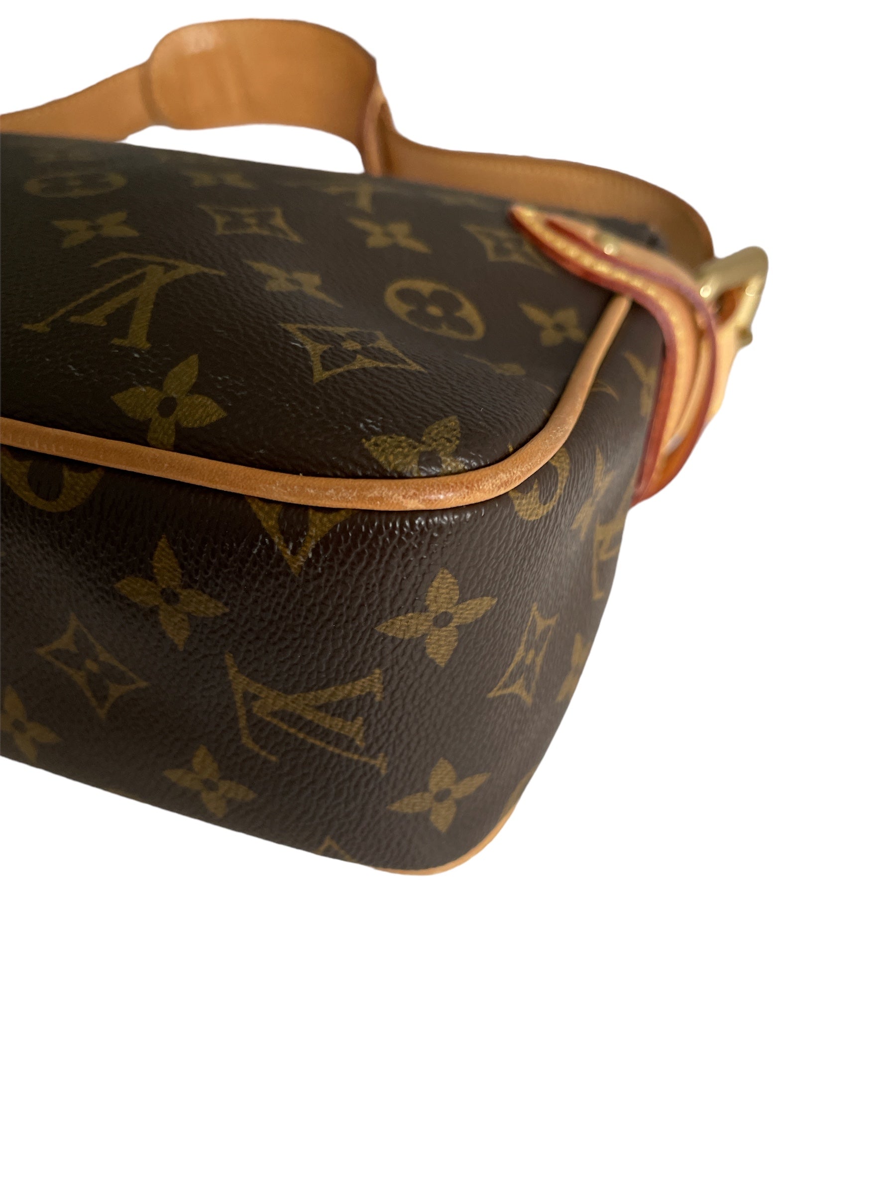 Louis Vuitton Sling Bag Crossbody and Shoulder Bag With Party Wear Handbags  - Goodsdream