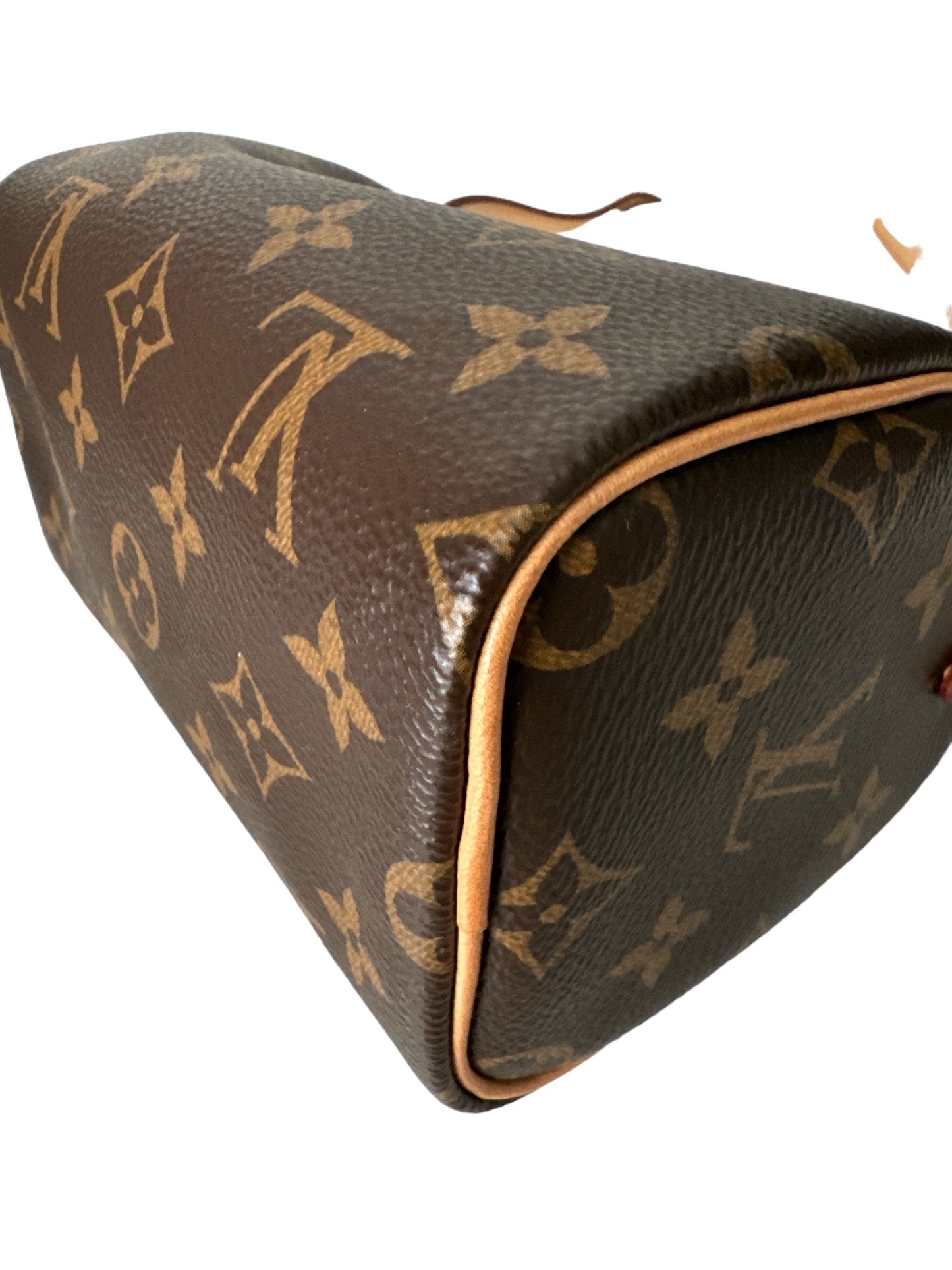 Louis Vuitton Speedy Nano Monogram Crossbody Bag