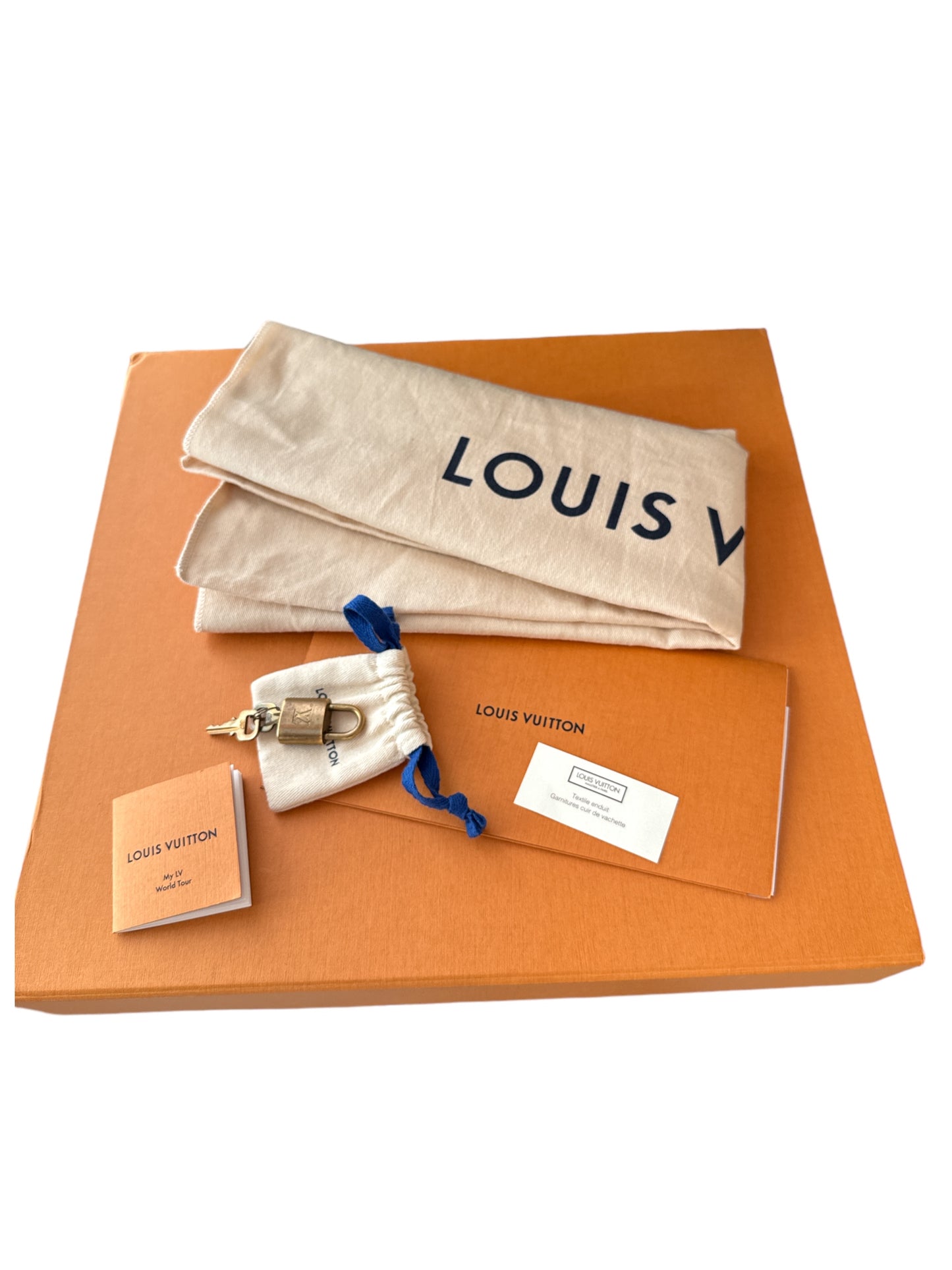 Louis Vuitton Speedy 30 Bandoulier My LV World Tour Bag