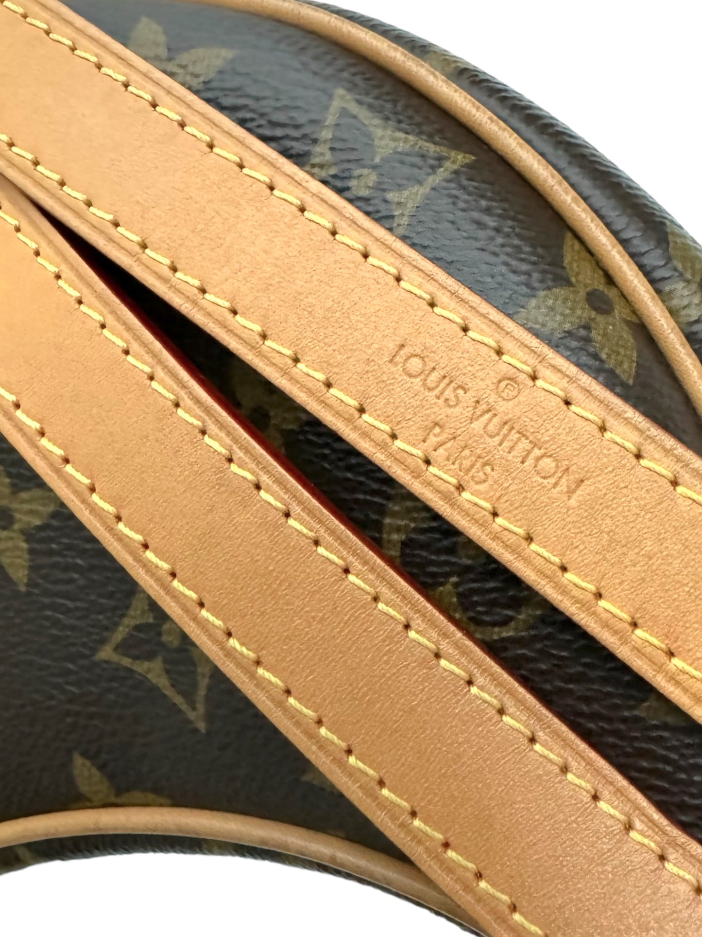 Louis Vuitton Loop bag