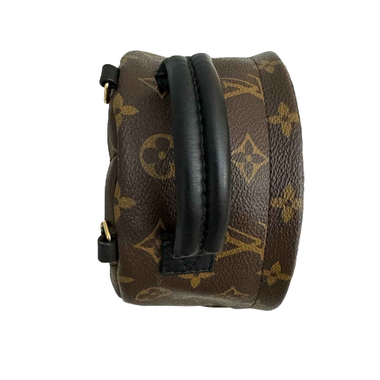 Louis Vuitton Palm Springs Mini Backpack