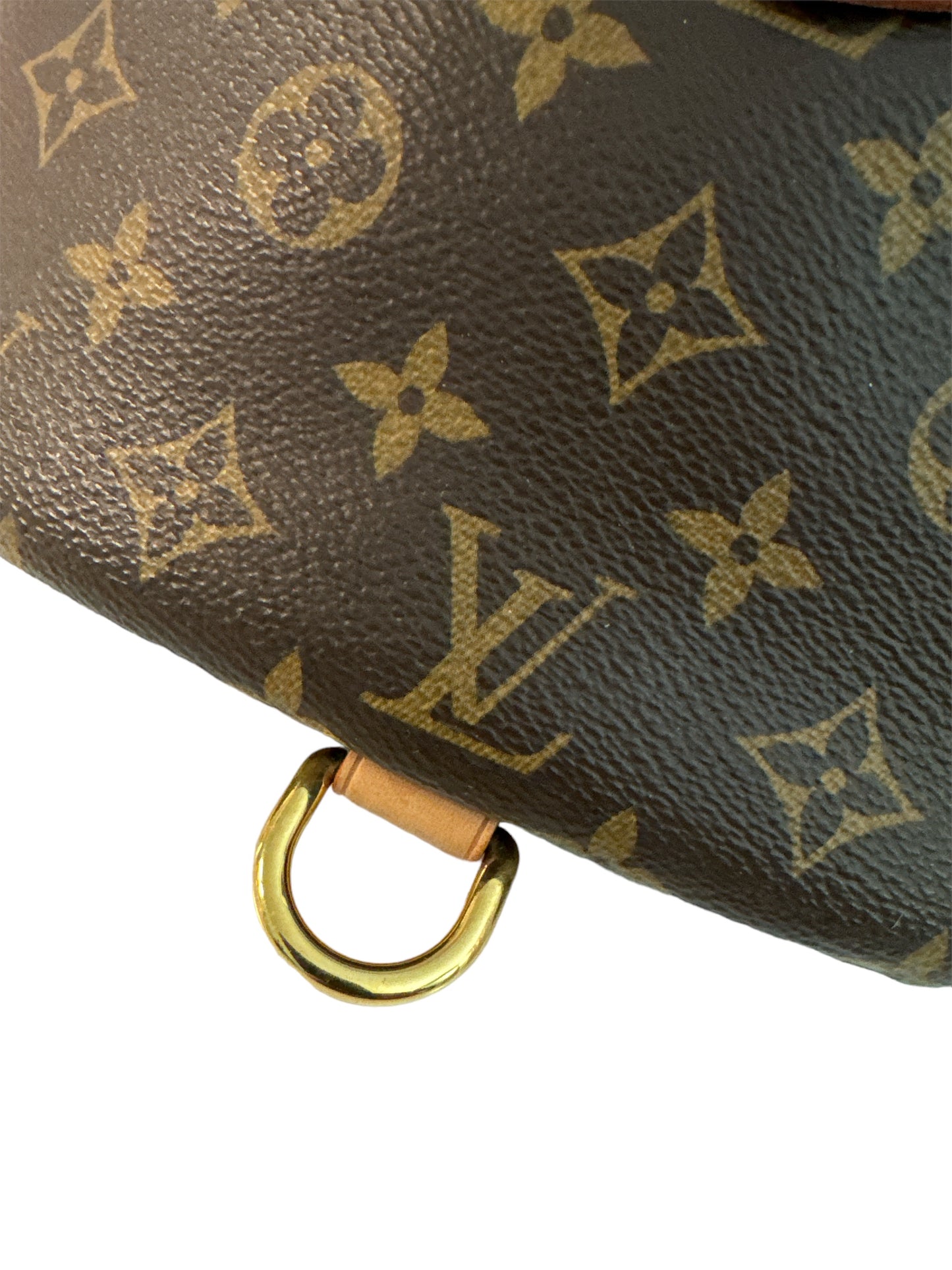 Louis Vuitton Bumbag Monogram Bag
