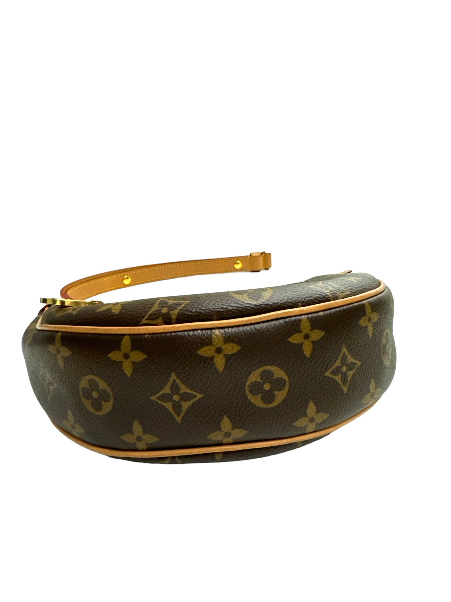 Louis Vuitton Loop bag