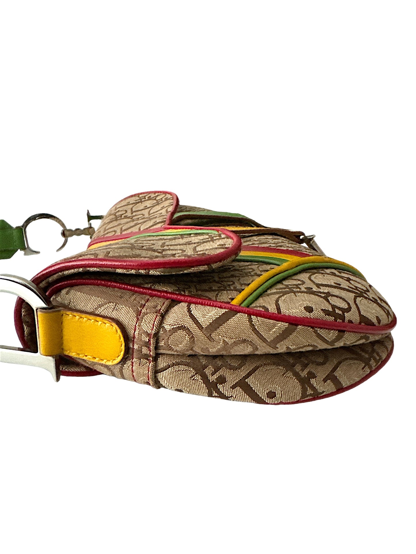 Christian Dior Monogram 'Rasta' Saddle Bag