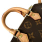 Louis Vuitton Speedy Nano Monogram Crossbody Bag