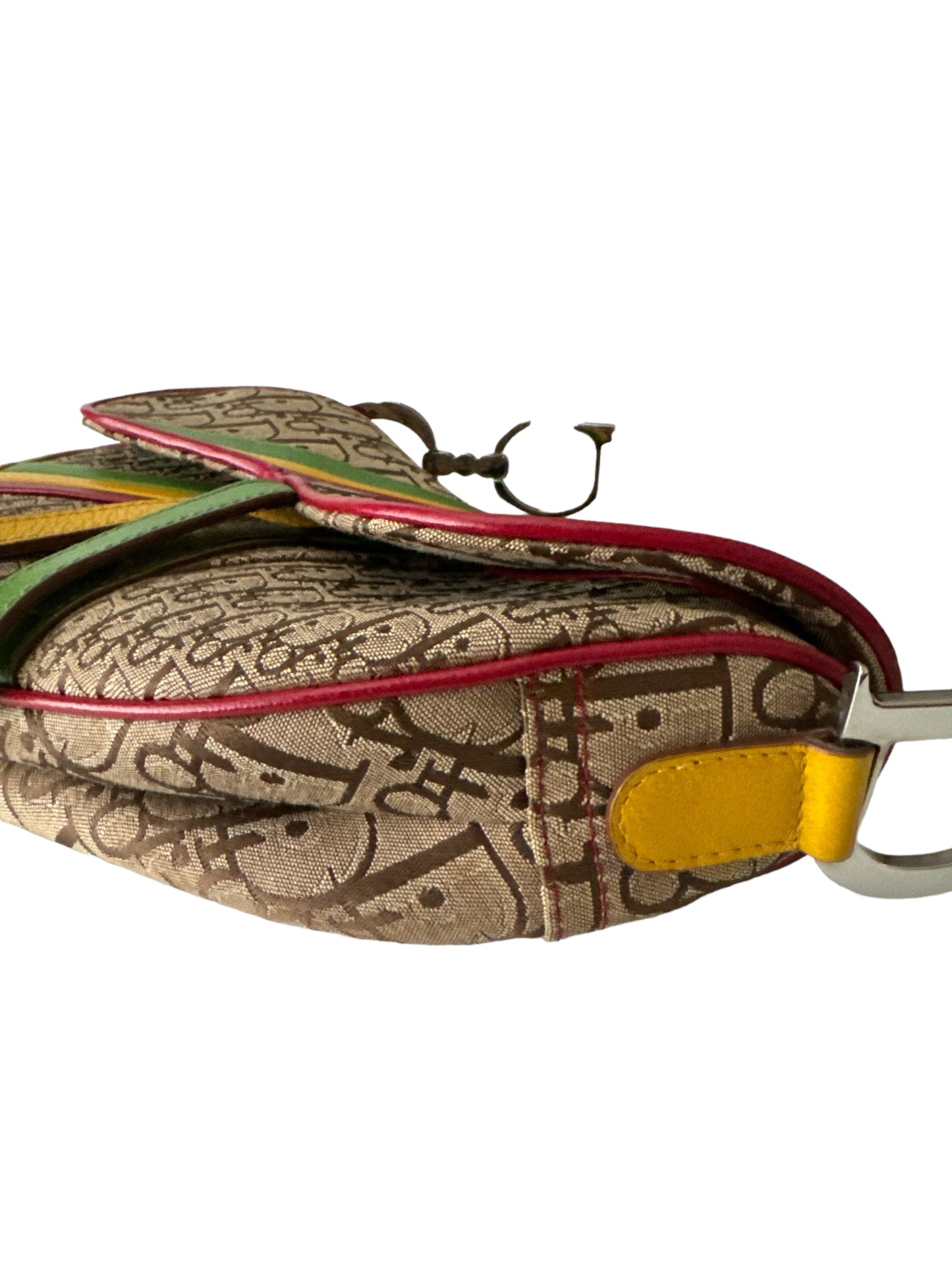 Christian Dior Monogram 'Rasta' Saddle Bag