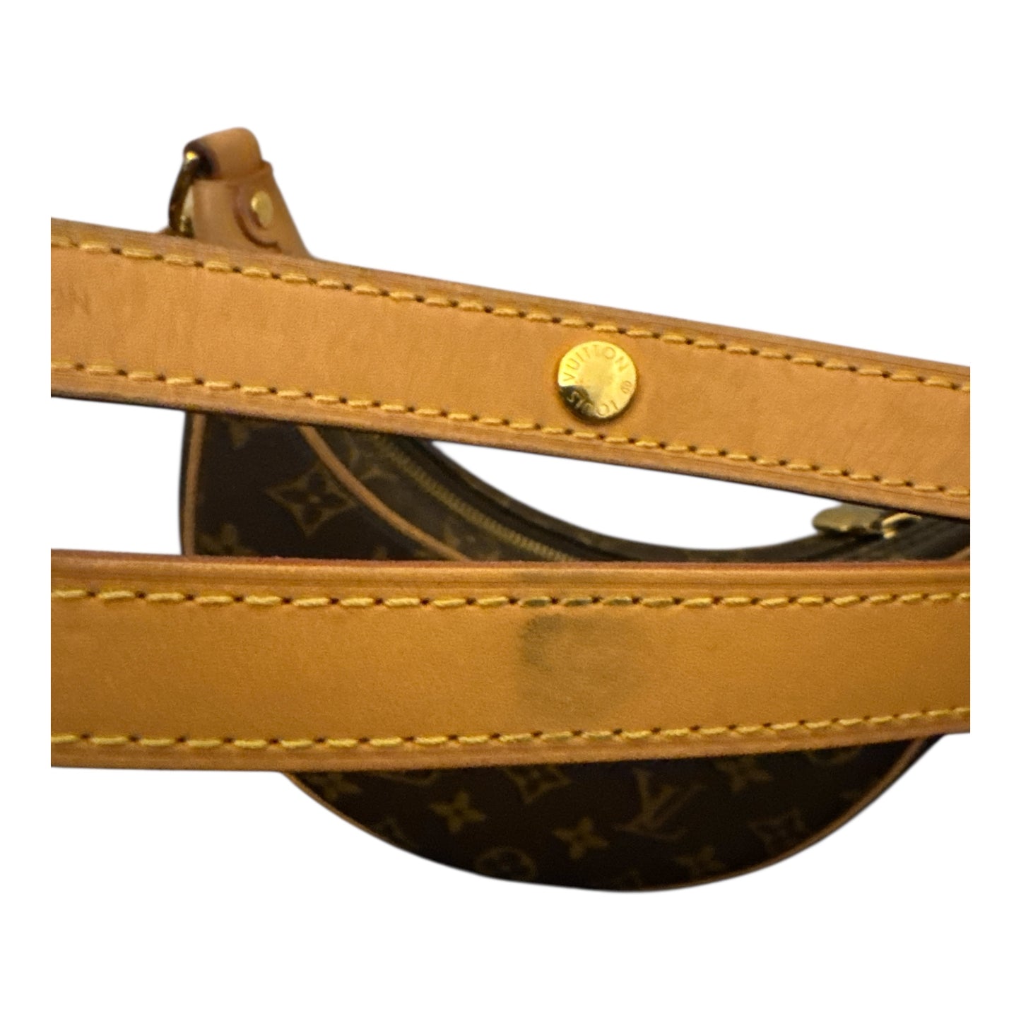 Louis Vuitton Loop PM Monogram Bag