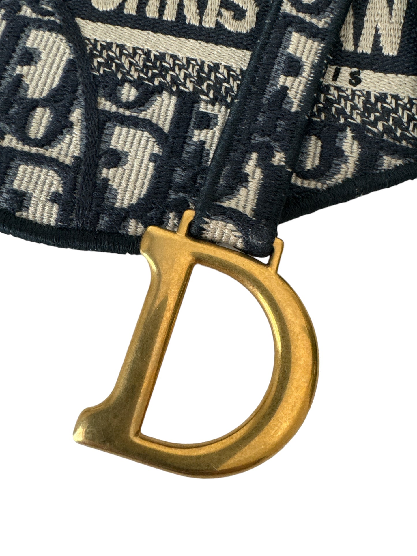 Dior Saddle Pouch Canvas Belt Bag