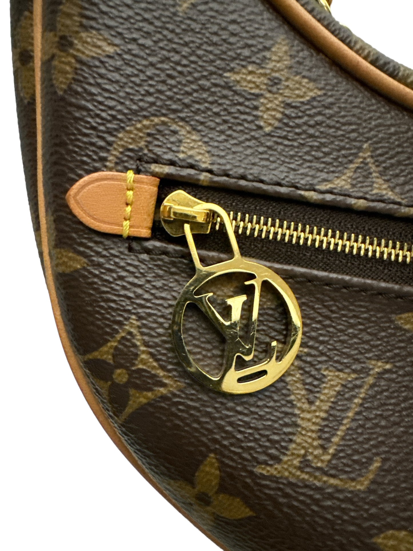 Louis Vuitton Loop bag