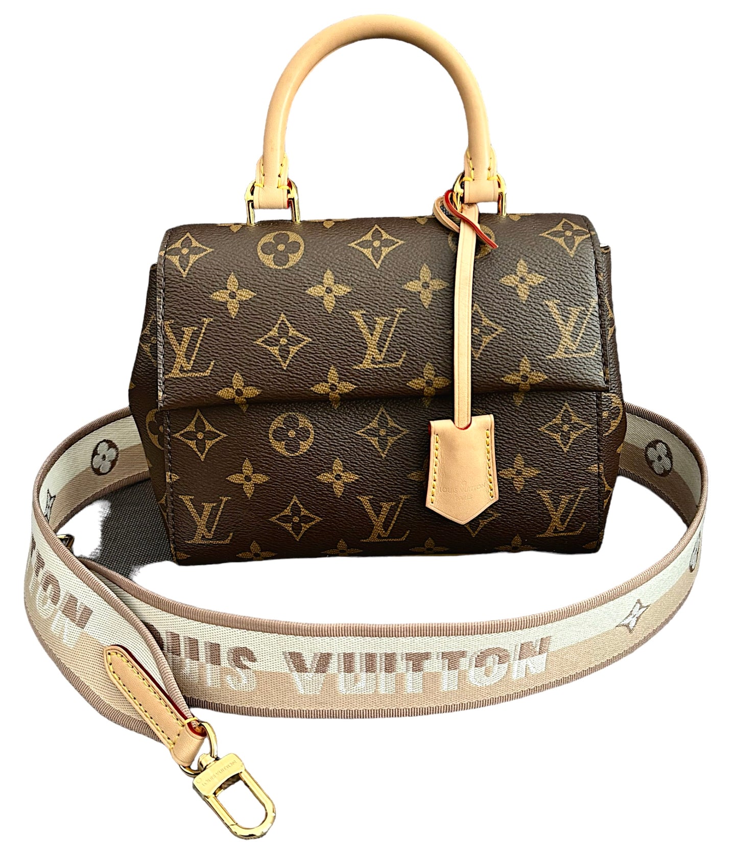 Louis Vuitton Cluny Mini Bag