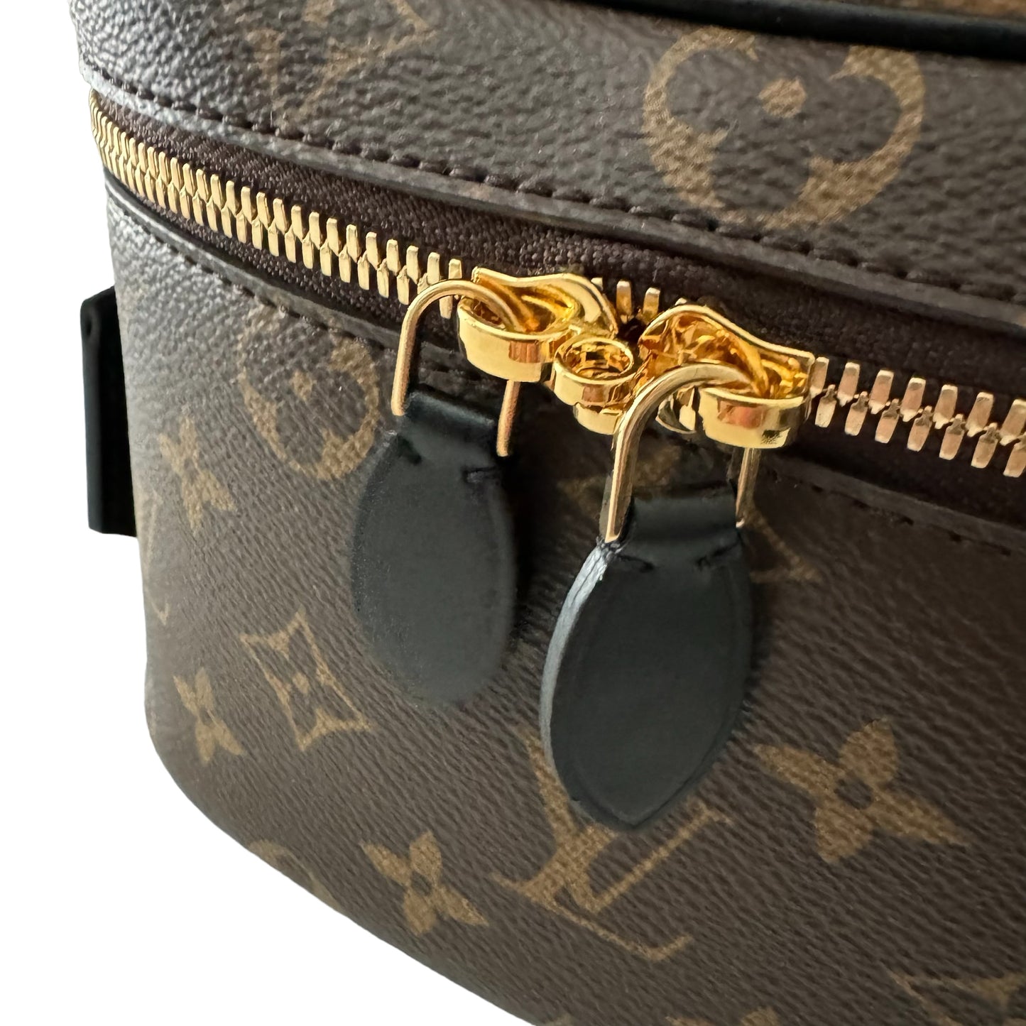 Louis Vuitton Vanity Monogram PM Bag